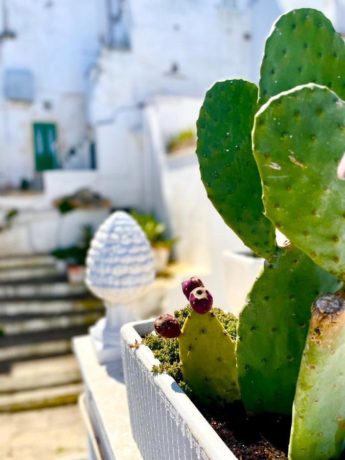 Belle Home Ostuni Vasca Vista Mare エクステリア 写真